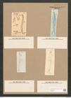Pleurosigma acuminatum (Kuetz) Grun. (de-Toni-Nr.: Genus 13, Species 1075) Zeichnungen Sammlung Grunow Nr. 1943 (NHMW-BOT-W0369079)